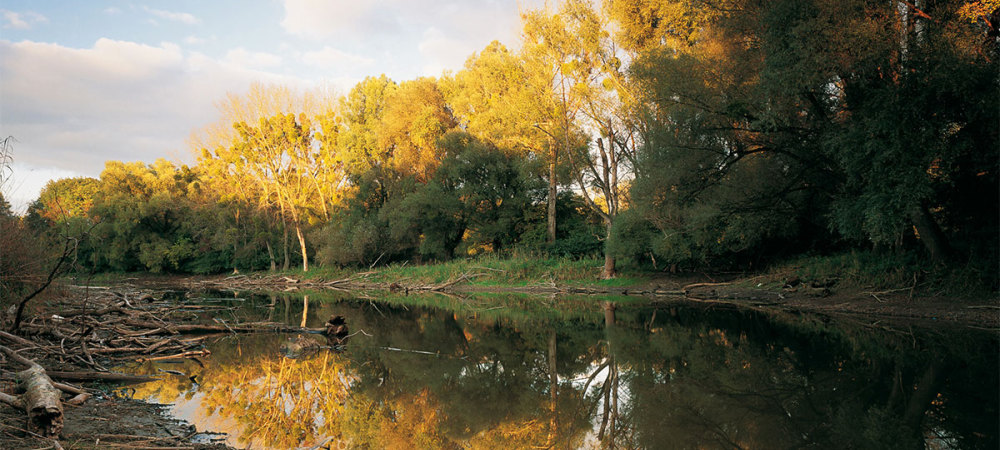 多瑙凹地國家公園（Nationalpark Donau Auen）