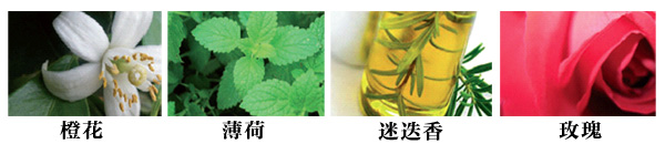 Caudalie（歐緹麗）葡萄活性精華爽膚水