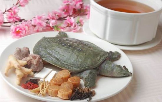 鮮美甲魚湯補(bǔ)出好身體