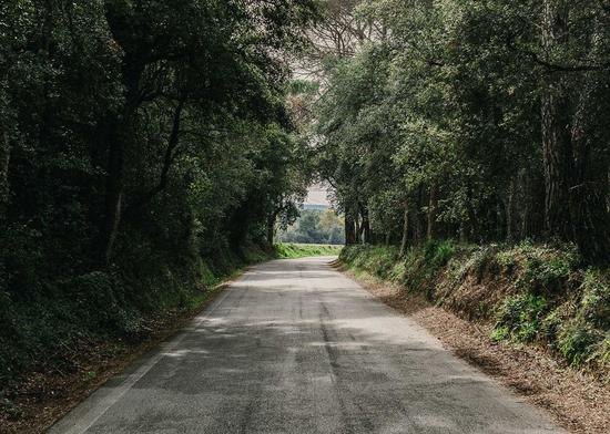 古堡遺跡