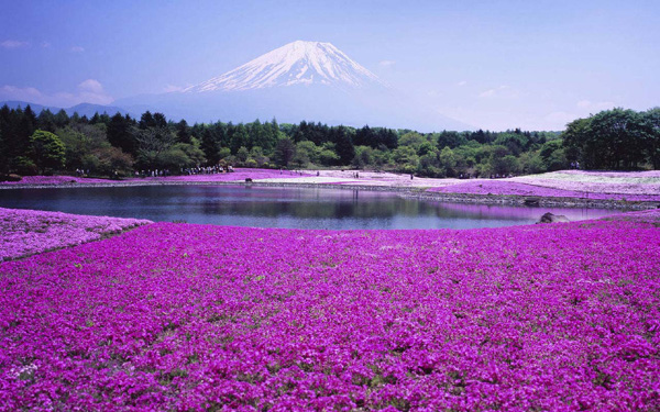 史上最完整北海道深度游地圖，給你一個愛上北海道的理由！