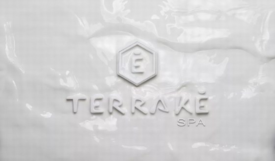 社交電商與直播 Terraké SPA法國天萊為行業(yè)注入“源動力”