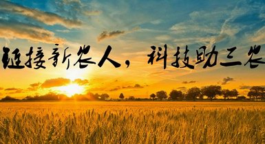 重磅！2021年中央一號文件發(fā)布，提出全面推進鄉(xiāng)村振興