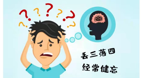 補腎抗衰系列談——記憶力下降？神經(jīng)衰老能“截住”！