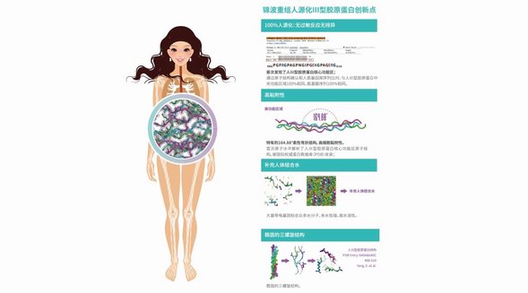 錦波生物獲多項(xiàng)世界首創(chuàng)，1：1完美還原人體膠原蛋白