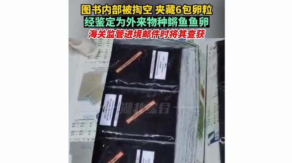 濟南郵局海關：圖書被掏空內藏鳉魚魚卵 經鑒定為外來物種