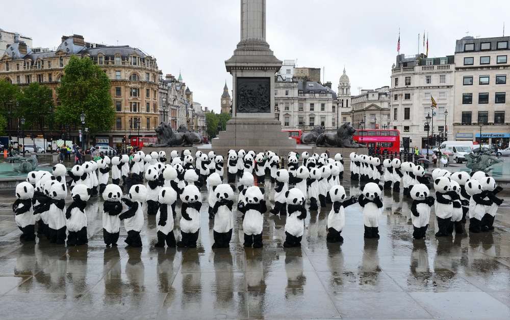 Panda Awareness Week熊貓保護(hù)意識(shí)周：成都大熊貓“熊抱”倫敦奧運(yùn)