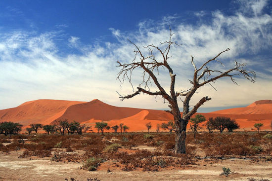 納米比亞共和國(guó) The Republic of Namibia 位于非洲西南部